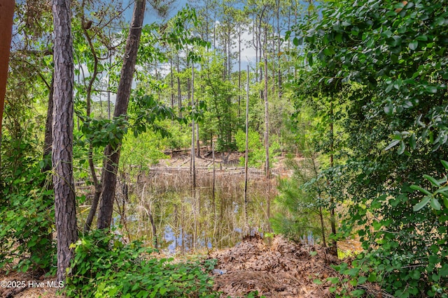 1711 Reidsville Rd, Southport, NC 28461 - view of local wilderness