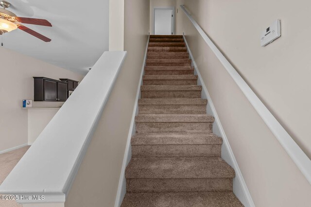 505 Oyster Rock Ln, Sneads Ferry, NC 28460 - staircase with ceiling fan, carpet flooring, and baseboards