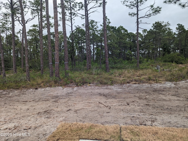 941 Downing Rd, Southport, NC 28461 - view of nature