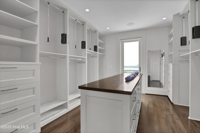 1064 Ocean Ridge Dr, Wilmington, NC 28405 - walk in closet featuring dark wood-type flooring