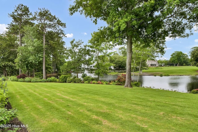 1064 Ocean Ridge Dr, Wilmington, NC 28405 - view of grassy yard featuring a water view