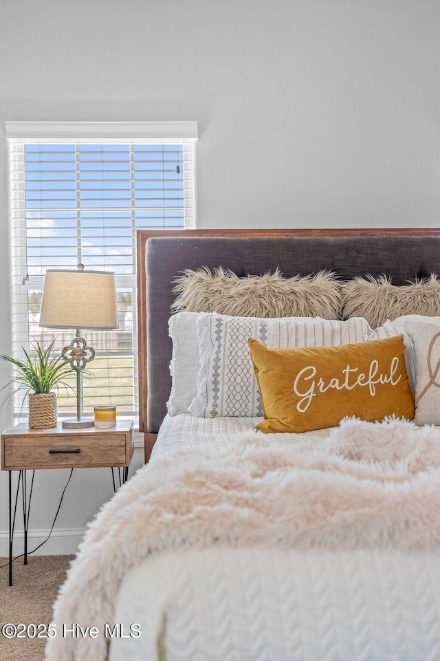 100 Little Acorn Trl, Moyock, NC 27958 - carpeted bedroom with multiple windows and baseboards