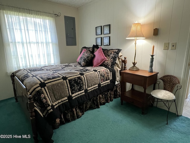 258 Hideaway Rd, Belhaven, NC 27810 - bedroom with electric panel, carpet, and a textured ceiling