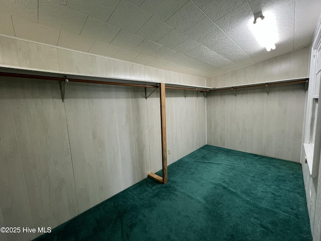 258 Hideaway Rd, Belhaven, NC 27810 - spacious closet featuring carpet flooring