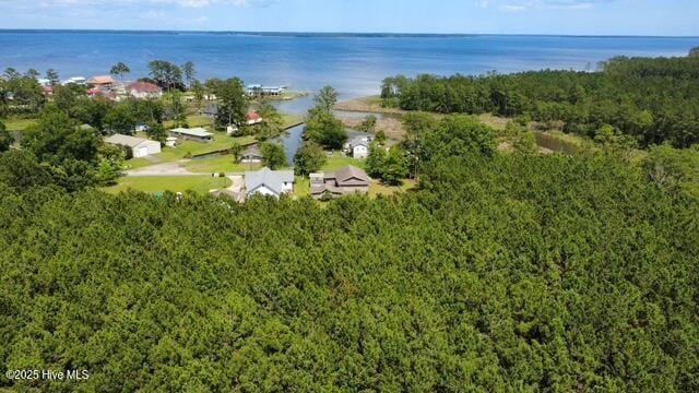 258 Hideaway Rd, Belhaven, NC 27810 - aerial view of a forest and a nearby body of water