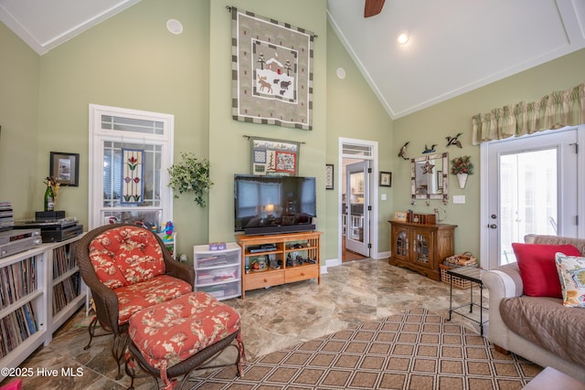 844 E Darden Rd, Faison, NC 28341 - living area featuring high vaulted ceiling and baseboards