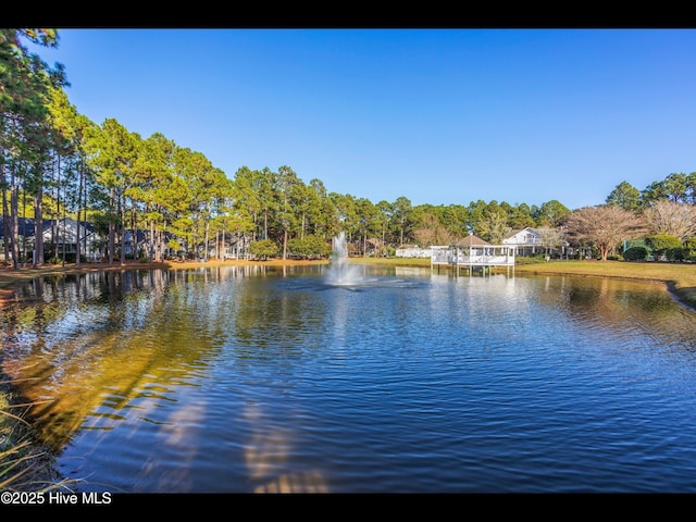 4043 Brick Path Ln SE, Southport, NC 28461 - water view