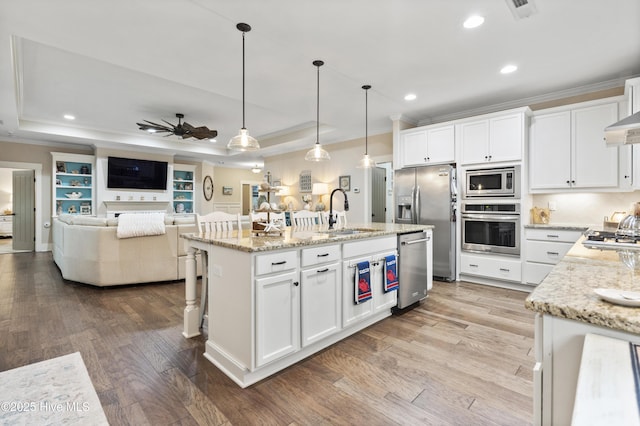 3020 Eno Ln, Leland, NC 28451 - kitchen featuring stainless steel appliances, a sink, crown molding, a ceiling fan, and a tray ceiling