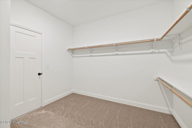 2259 Heartland Rd, Battleboro, NC 27809 - spacious closet featuring carpet floors