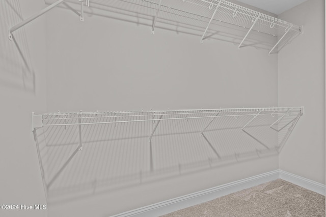 355 N Gaines St, Southern Pines, NC 28387 - spacious closet with carpet floors