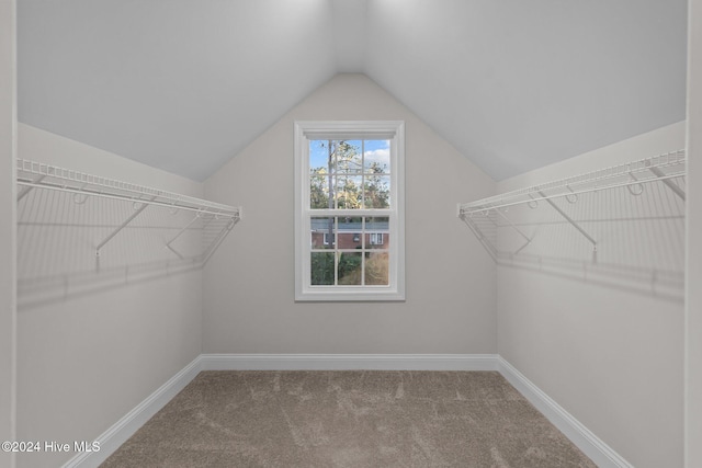 355 N Gaines St, Southern Pines, NC 28387 - spacious closet with vaulted ceiling and carpet floors