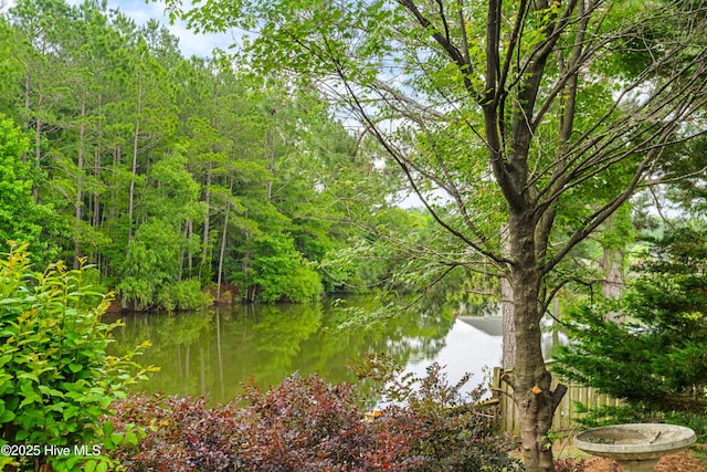280 Coralstone Ct, Leland, NC 28451 - water view with a heavily wooded area