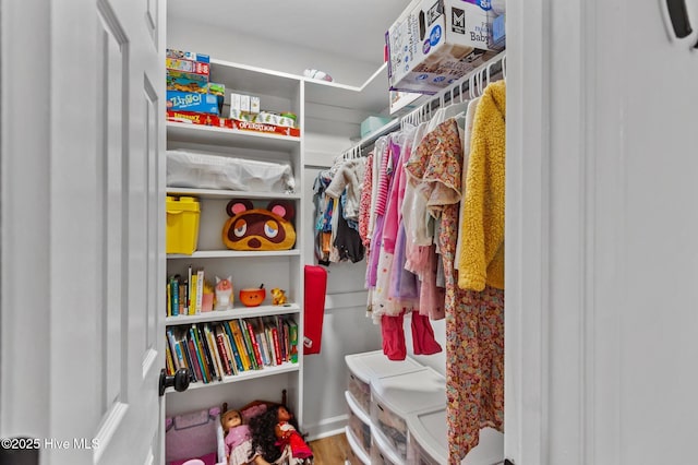 113 Sunshine Ln Unit C8, Winterville, NC 28590 - walk in closet featuring wood finished floors