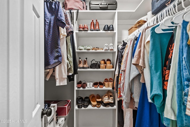 113 Sunshine Ln Unit C8, Winterville, NC 28590 - view of walk in closet