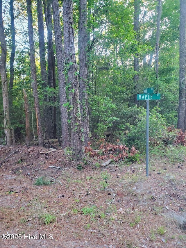 Lot1 Maple, Blounts Creek, NC 27814