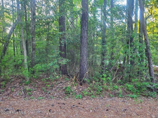 Lot1 Maple, Blounts Creek, NC 27814