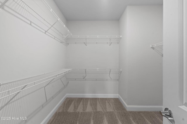 81 Eagle Claw Dr, Calabash, NC 28467 - walk in closet featuring carpet