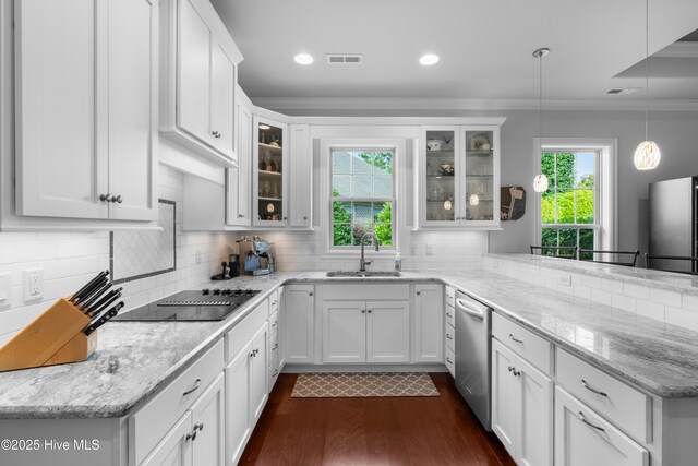 310 White Swan Ct, Wilmington, NC 28412 - kitchen with a sink, stainless steel appliances, dark wood finished floors, a peninsula, and crown molding