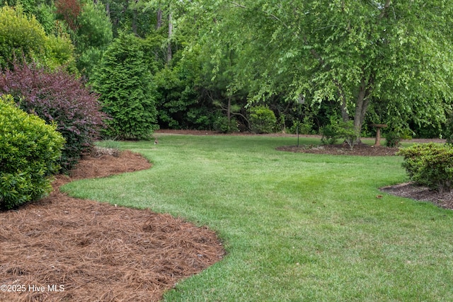310 White Swan Ct, Wilmington, NC 28412 - view of grassy yard