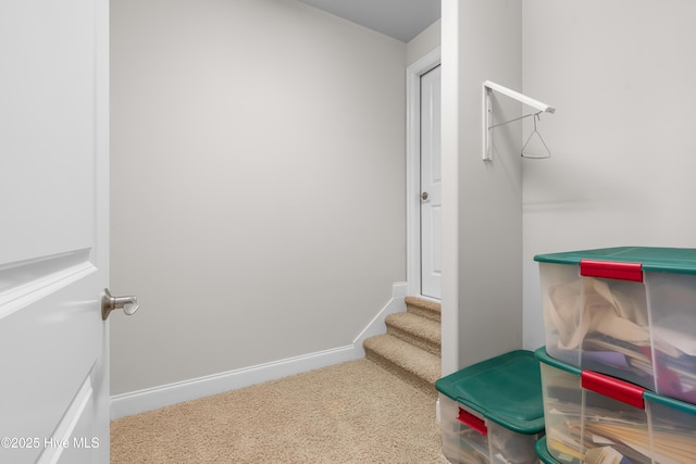 310 White Swan Ct, Wilmington, NC 28412 - view of storage