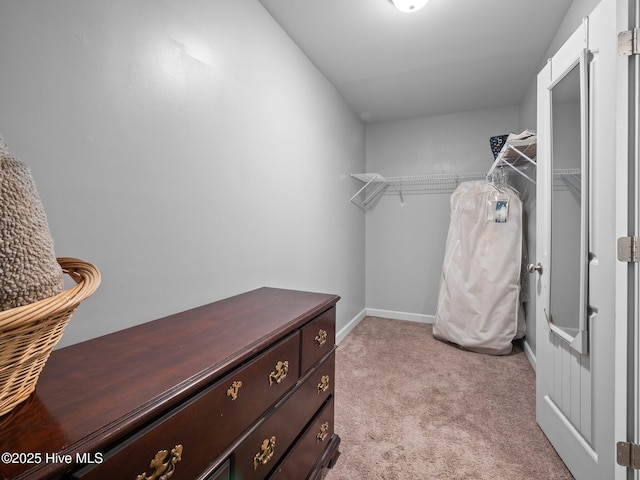 660 Riggs Rd, Hubert, NC 28539 - walk in closet with light colored carpet
