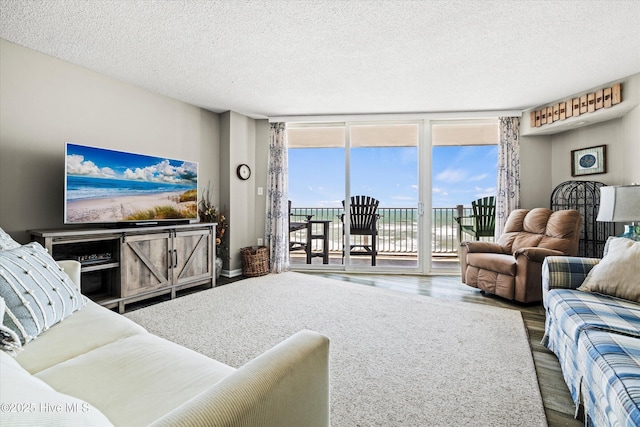 2000 New River Inlet Rd Unit 1208, North Topsail Beach, NC 28460 - living area featuring wood finished floors, expansive windows, and a textured ceiling