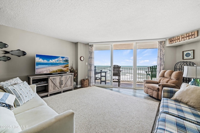 2000 New River Inlet Rd Unit 1208, North Topsail Beach, NC 28460 - living area with a textured ceiling, expansive windows, and wood finished floors