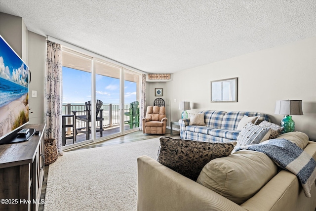 2000 New River Inlet Rd Unit 1208, North Topsail Beach, NC 28460 - living area with wood finished floors, a textured ceiling, and floor to ceiling windows