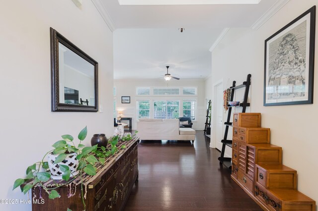411 Canvasback Ln, Sneads Ferry, NC 28460 - hall with dark wood-style floors and ornamental molding