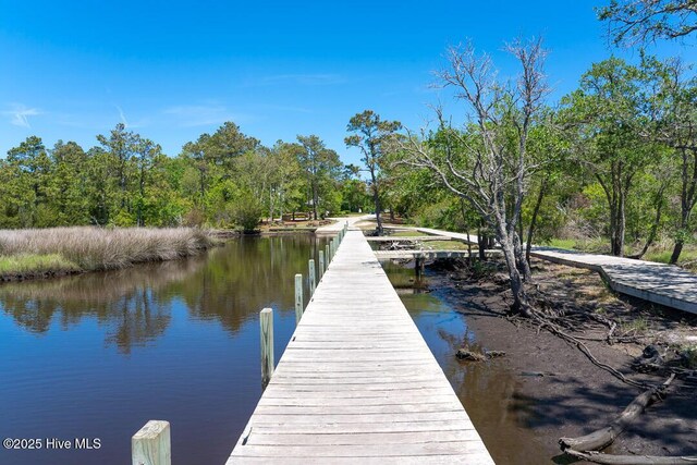 411 Canvasback Ln, Sneads Ferry, NC 28460 - dock featuring a water view