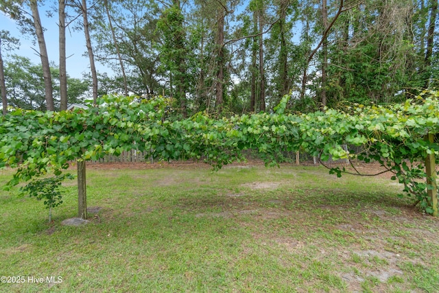 827 Village Point Rd SW, Shallotte, NC 28470 - view of grassy yard