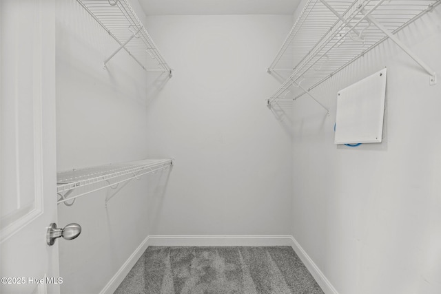 1005 Flounder Run, New Bern, NC 28562 - walk in closet featuring carpet