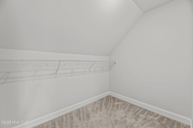 1005 Flounder Run, New Bern, NC 28562 - walk in closet with vaulted ceiling and carpet floors