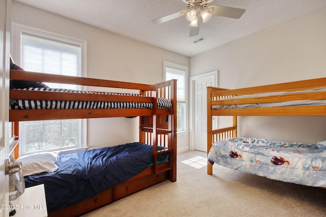 9116 Oak Ridge Plantation Dr, Calabash, NC 28467 - bedroom with carpet floors, multiple windows, and a textured ceiling