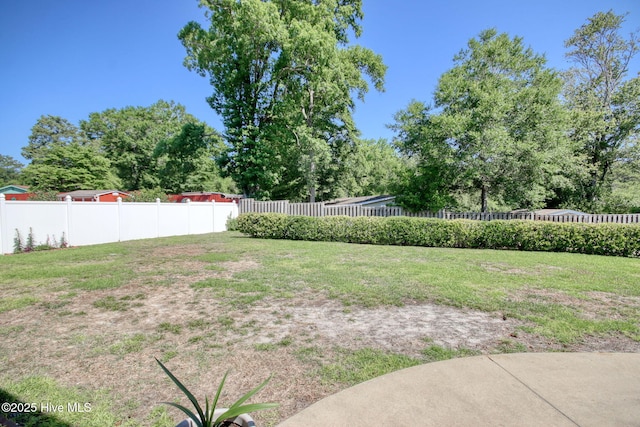 9116 Oak Ridge Plantation Dr, Calabash, NC 28467 - view of fenced yard