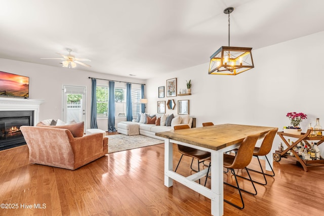 2635 Asher View Ct, Raleigh, NC 27606 - dining room with a fireplace with flush hearth, wood finished floors, ceiling fan, and a chandelier
