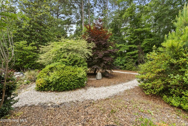 71 Combine Ln SE, Leland, NC 28451 - view of yard
