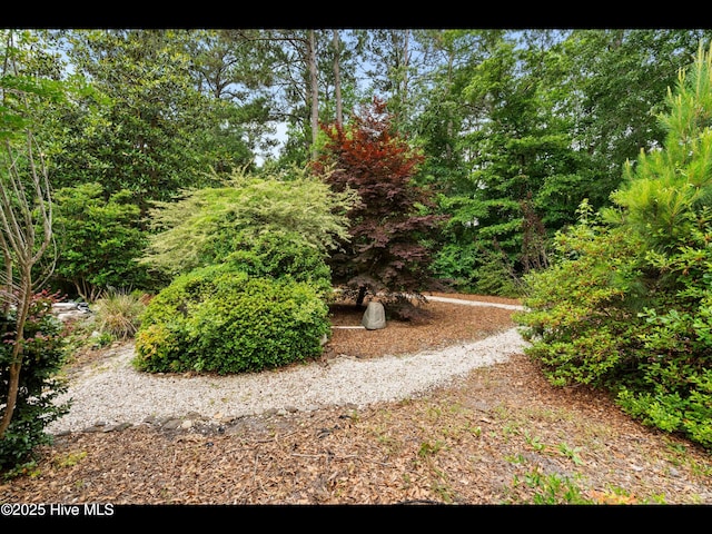 71 Combine Ln SE, Leland, NC 28451 - view of yard