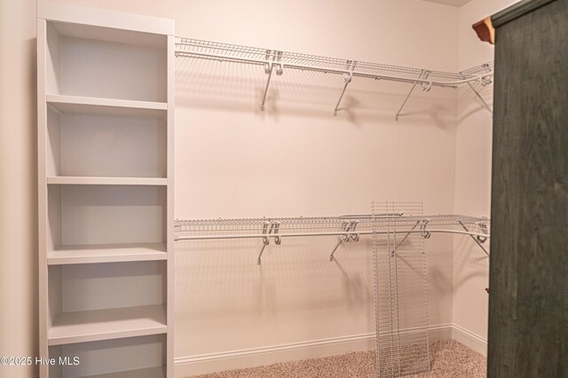 255 Champions Ridge Dr, Southern Pines, NC 28387 - spacious closet with carpet flooring