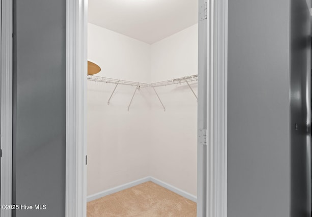 770 Heather Glen Ln, Calabash, NC 28467 - walk in closet featuring carpet floors