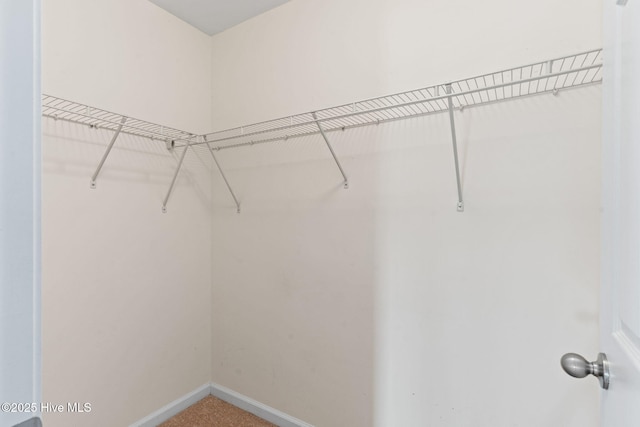 770 Heather Glen Ln, Calabash, NC 28467 - view of spacious closet