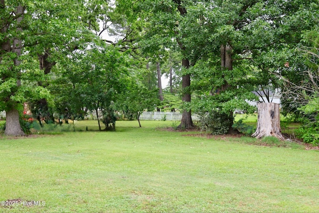 102 Nash St, Elm City, NC 27822 - view of green lawn