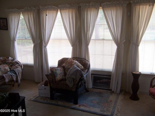 100 Pinehurst Trace Dr, Pinehurst, NC 28374 - living area featuring plenty of natural light and carpet flooring
