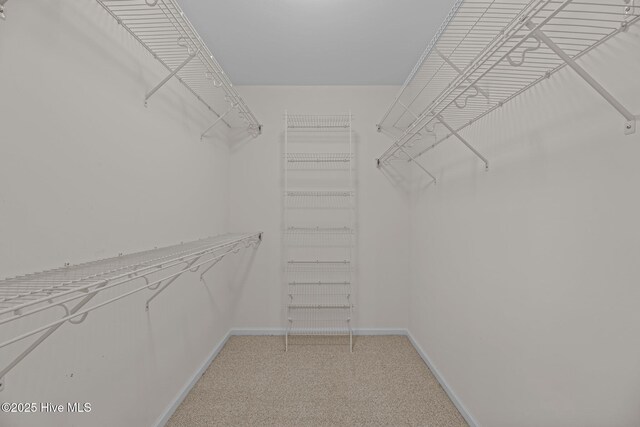 309 Belle Oaks Dr, New Bern, NC 28562 - walk in closet featuring light colored carpet