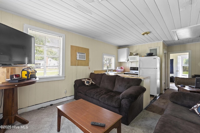 307 Preston Rd Unit A & B, Jacksonville, NC 28540 - carpeted living area with wooden walls and wooden ceiling