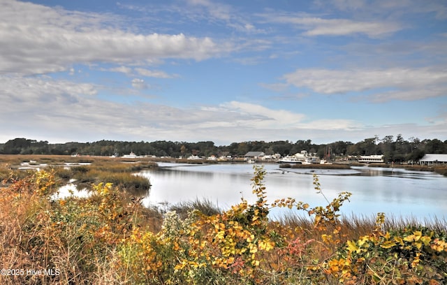 9265 W Lake Rd, Calabash, NC 28467 - water view
