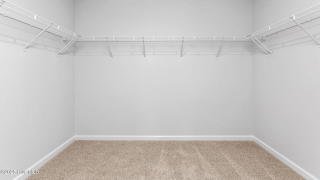 2031 Minnette Cir, New Bern, NC 28562 - walk in closet with carpet