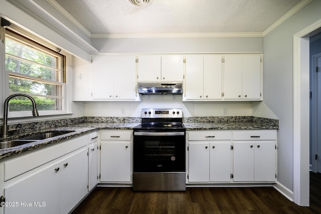 429 Swiss Rd, New Bern, NC 28560 - kitchen featuring stainless steel electric range, a sink, under cabinet range hood, dark wood finished floors, and dark stone counters