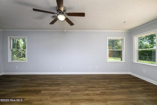 429 Swiss Rd, New Bern, NC 28560 - unfurnished room with healthy amount of natural light, ornamental molding, a textured ceiling, ceiling fan, and dark wood-style floors