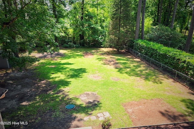 429 Swiss Rd, New Bern, NC 28560 - view of yard